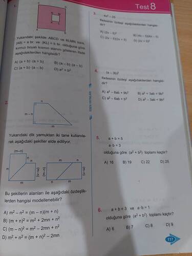 17464453154294343333197845532070