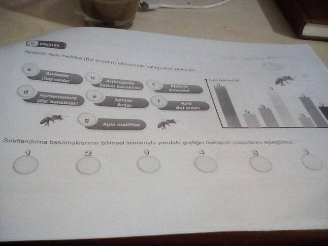 176461377835844842134850108851