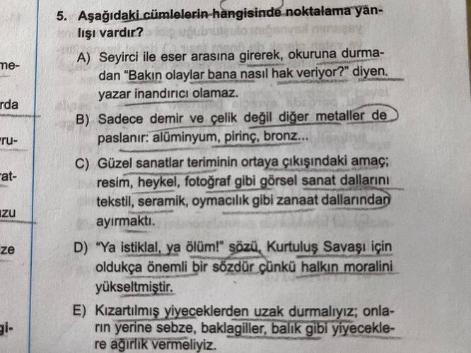Soru Görseli