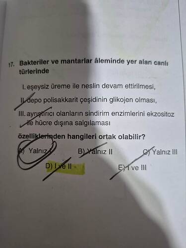 1748202516512747914857787053237