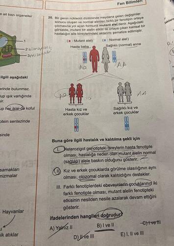 Bir genin nükleotit diziliminde meydana gelen değişimler sonucu oluşan ve normal...