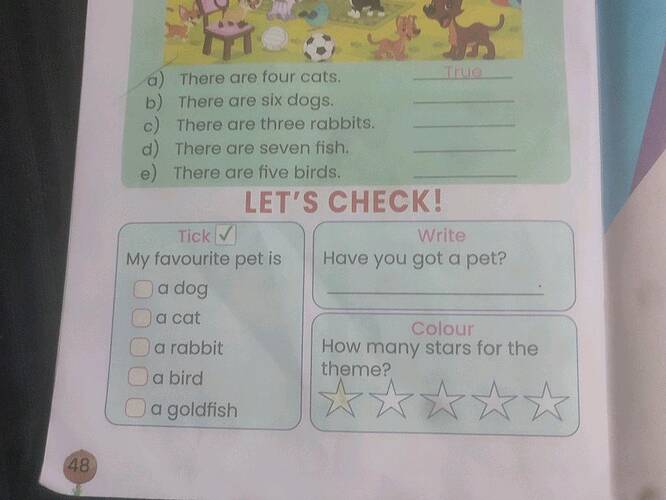 Soru Görseli