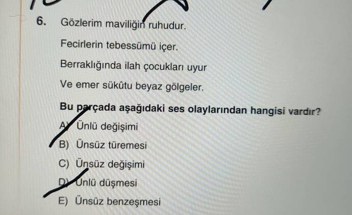 Gözlerim maviliğir ruhudur.