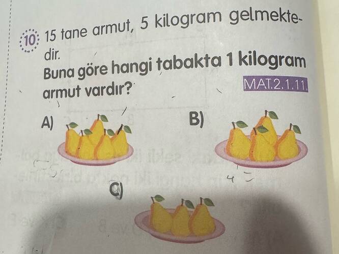 Soru Görseli