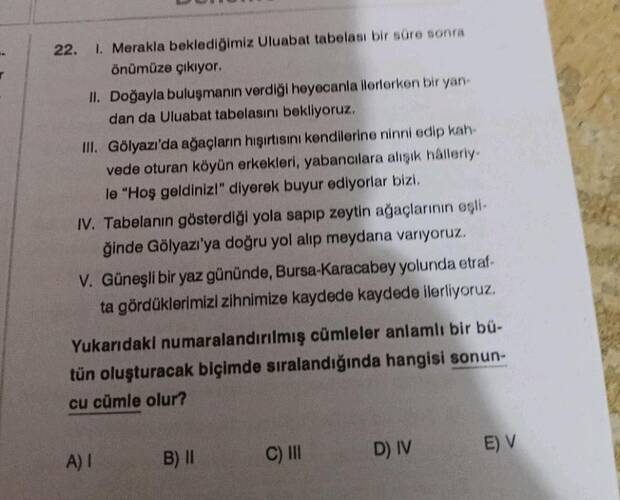 Soru Görseli