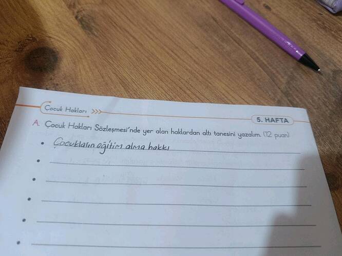 Çocuk Hakları 5.