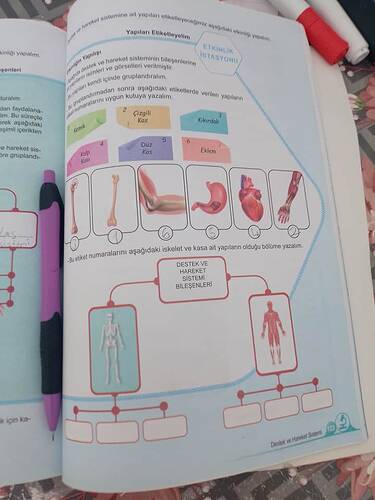 17375331782904830975868940928443