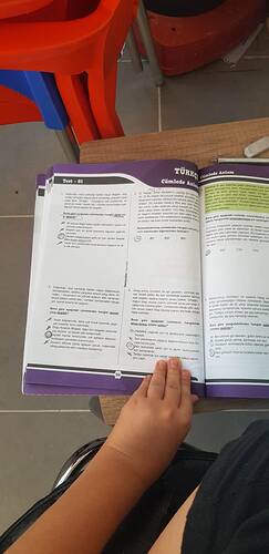 17500896441541484089067290238043