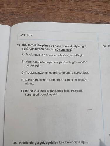 17480735926423801904589223479416