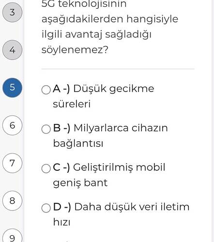 Soru Görseli