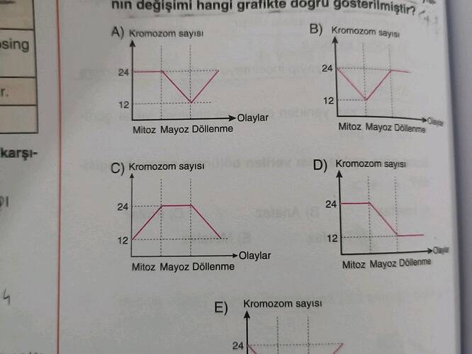 Soru Görseli