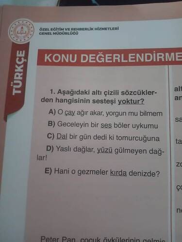 17595184963283438744263690658763