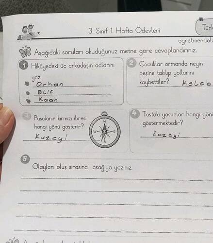 Aşoğidaki soruları okuduğunuz metne göre cevaplandırınız.
