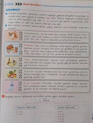 Ünite Besin lçerikleri BİNGONOT Vücudun büyümesini.