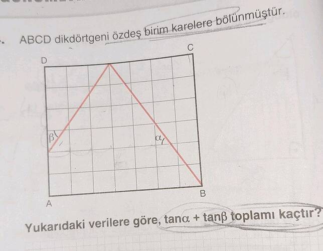 ABCD dikdörtgeni i özdeş birim karelere bölünmüştür.