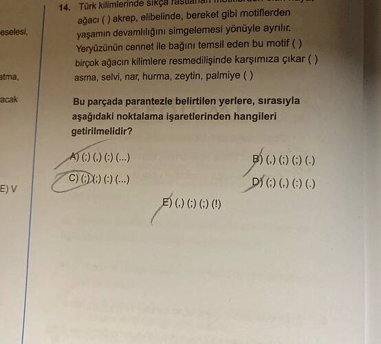 Soru Görseli