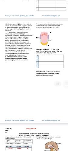 Screenshot_20250526-154623_Drive