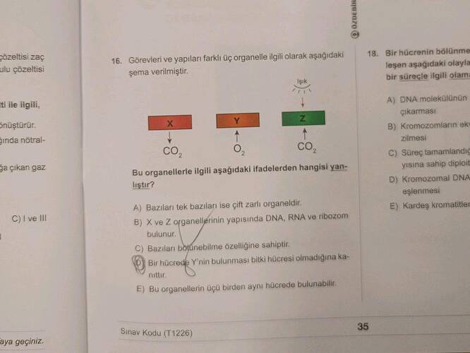 Görevleri ve yapıları farklı üç organelle ilgili aşağıdaki şema verilmiştir.