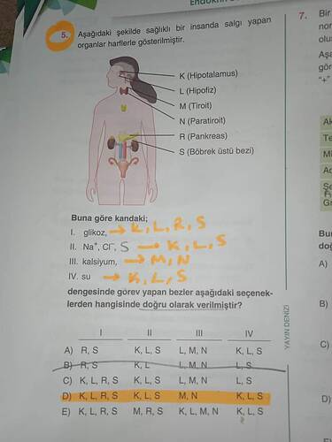 17647133152803532610703665067546