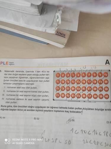 17445535975195446908325587979806