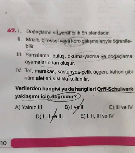 Soru Görseli