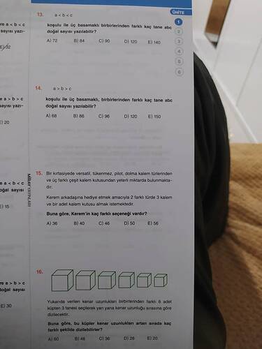 17368716809487423588301229311013