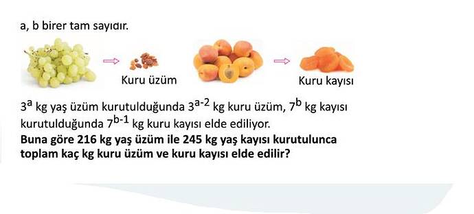 Ekran görüntüsü 2025-04-05 170941