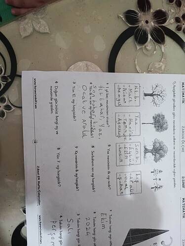 17453452690734081988982809116879