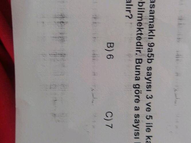 asamaklı 9a5b sayısı 3 ve 5 ile kal- abilmektedir.