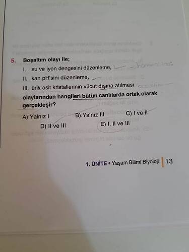 17632807926736531166538058657931
