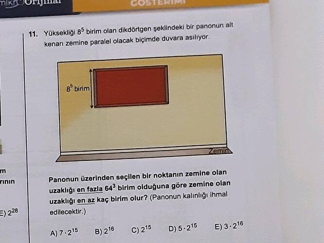 mikg m rinin 11.