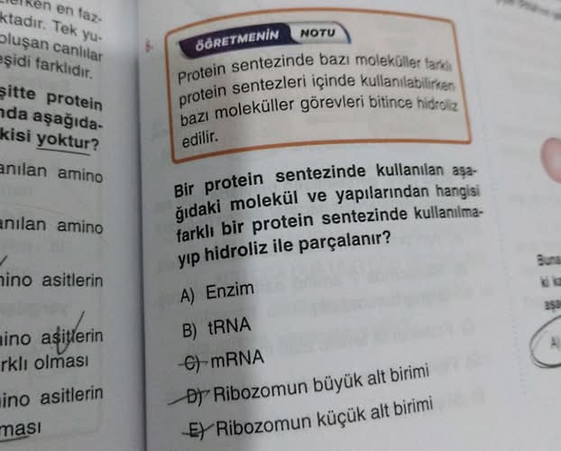 ÖĞRETMENİN NOTU Protein sentezinde bazı moleküller farklı protein sentezleri içinde...