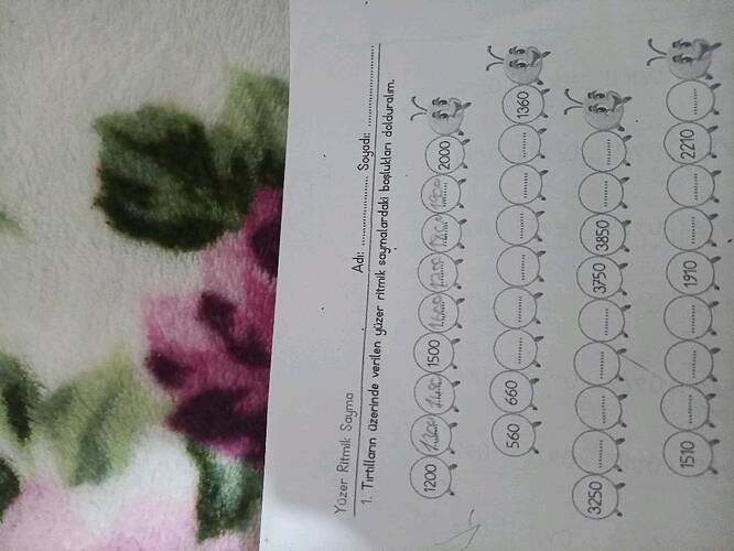 Yüzer Ritmik Sayma 1.