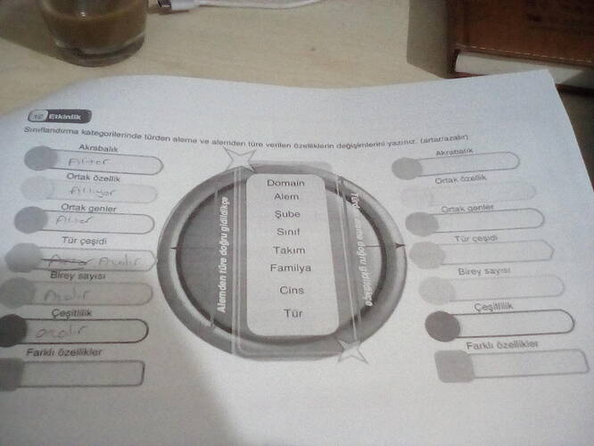 1764613429240422622651061153826