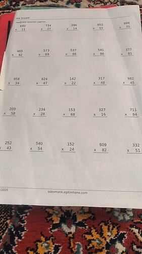 Lütfen bana bu soruların cevabını goster