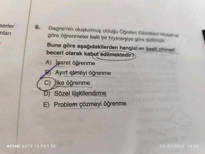 Soru Görseli