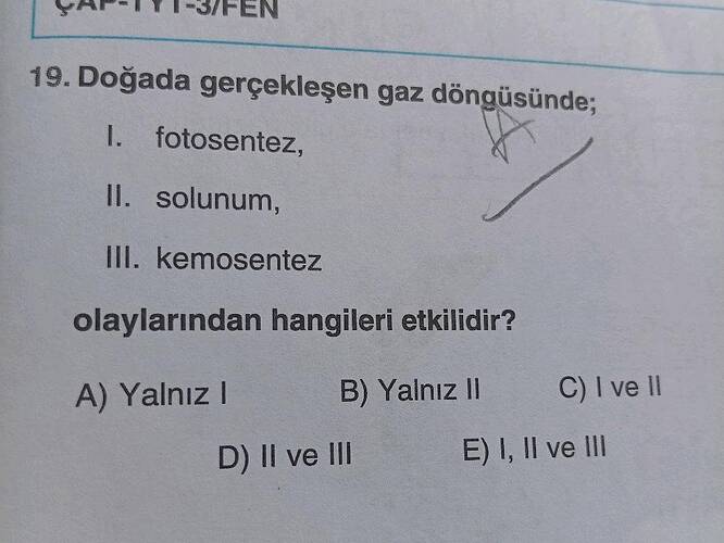 Soru Görseli