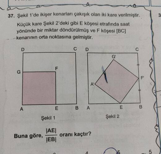 Şekil 1'de ikişer kenarları çakışık olan iki kare verilmiştir.