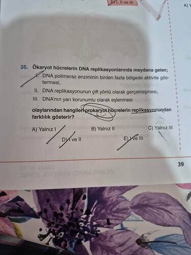 17479934440781180780052190252782