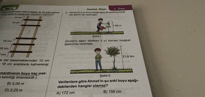 TEma ekieoin- tot raf Sek e vnrilnistir Aa e ve rO t 18em Sekli- Ahmetin agacı...