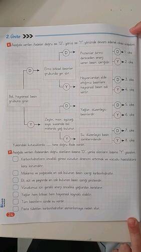 Ünite » 6 Aşağıda verilen ifadeler doğru ise "D'.