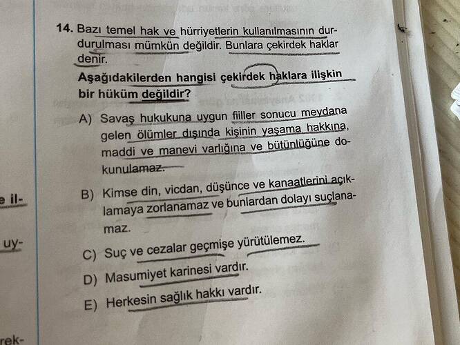 Soru Görseli