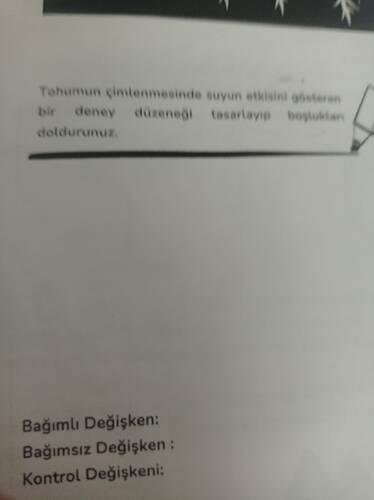 17630094129683120687984603157050