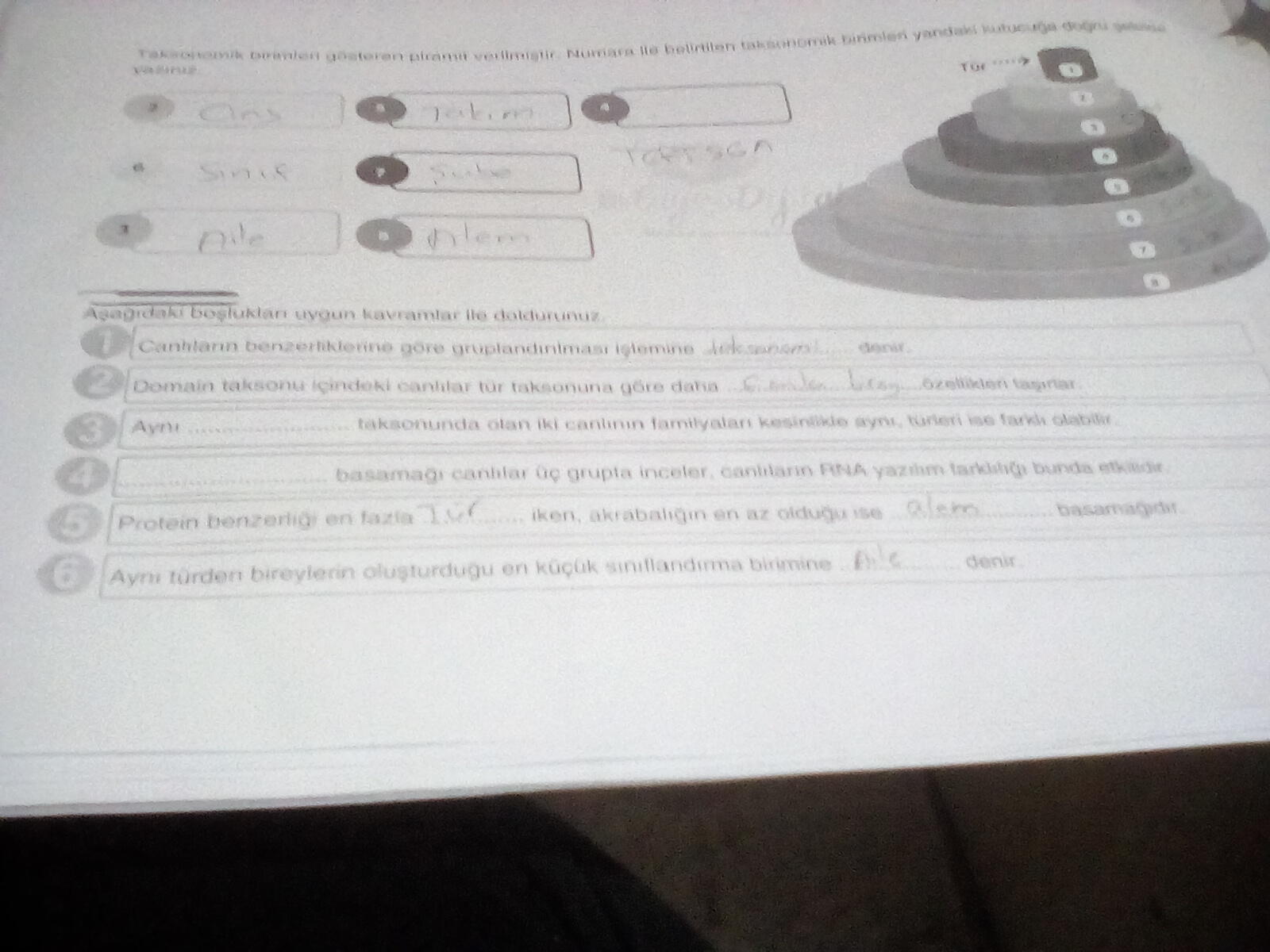 17646135703391908111981392949633