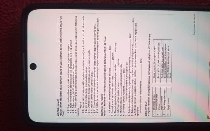 IMG_20250527_160601_1