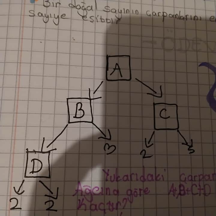 yaparmisin-rccc-sorumatik