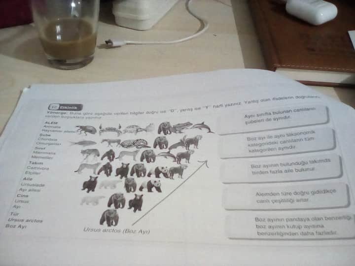 17646142775925641410073384078617