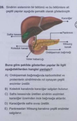 SmartSelect_20250510_200437_Samsung Internet