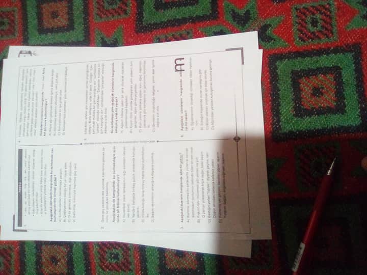 17594306601976528695726279305155