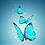 Sibel_Orhan